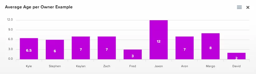 Average Age per Owner Example